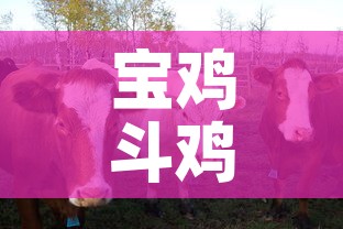 给大家讲解“微信链接炸金花房卡充值购买	”轻松获取房卡全渠道