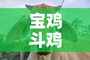 房卡必备教程“微信金花房卡在哪买	”购买房卡介绍