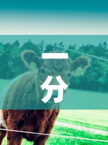 一分钟实测分享“微信牛牛群斗牛群”详细房卡教程