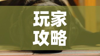 玩家必备教程“微信群牛牛房间卡”轻松获取房卡全渠道