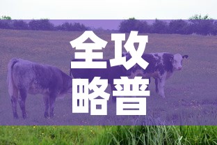 全攻略普及“微信牛牛群房间卡如何购买”轻松获取房卡全渠道