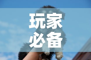 玩家必备教程“斗牛房卡牛牛房卡	”详细房卡使用教程