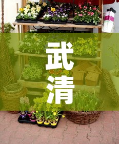 武清区绿化五金价格行情—(天津武清区比较大的五金城) 武清区绿化五金价格行情—(天津武清区比较大的五金城)