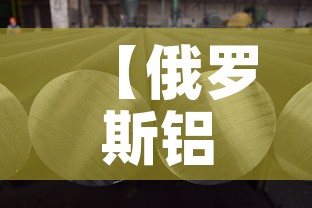 【俄罗斯铝锂合金价格多少,俄罗斯铝锂合金价格多少钱一吨】