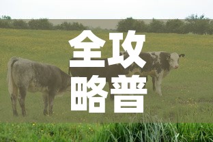 全攻略普及“开牛牛群怎么买房卡”详细房卡教程