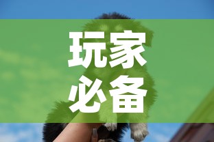 玩家必备教程“斗牛房卡牛牛房卡”房卡使用教程