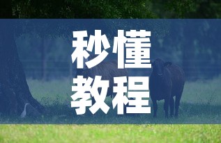 秒懂教程“微信牛牛群斗牛群	”获取房卡教程-哔哩哔哩