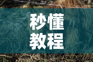 秒懂教程“微信牛牛群斗牛群	”获取房卡教程-哔哩哔哩