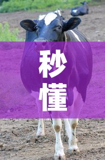 秒懂教程“微信牛牛群斗牛群”获取房卡教程-哔哩哔哩