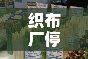 织布厂停车位租金价格 → 制衣厂车位包吃住
