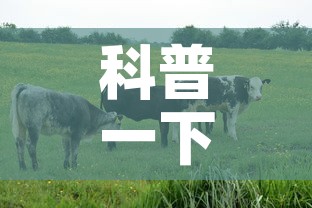 科普一下“微信牛牛群房卡怎么弄	”房卡怎么购买