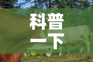 科普一下“微信牛牛群房卡怎么弄”房卡怎么购买