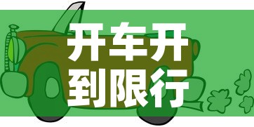 开车开到限行›开到限行路段会怎么样