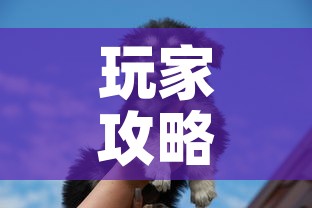 玩家攻略“斗牛房卡牛牛房卡”详细房卡怎么购买教程