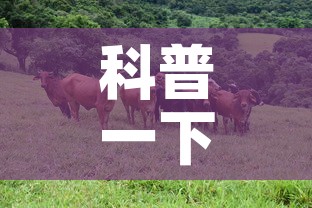 科普一下“微信牛牛群斗牛群	”详细房卡教程