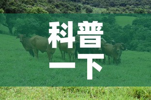 科普一下“微信牛牛群斗牛群”房卡使用教程
