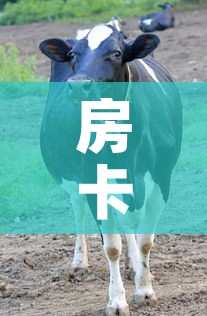 房卡必备教程“微信牛牛群斗牛群	”详细房卡教程