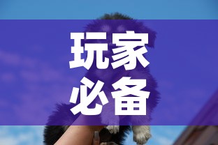玩家必备教程“斗牛房卡牛牛房卡”购买房卡介绍
