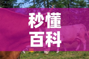 秒懂百科“微信牛牛群房卡”购买房卡介绍