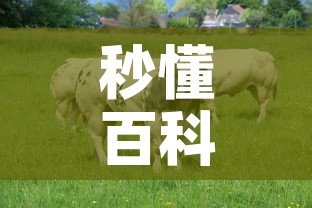 秒懂百科“微信牛牛群房卡”购买房卡介绍
