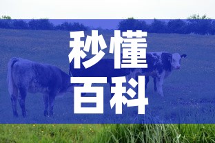 秒懂百科“微信牛牛群房卡”购买房卡介绍