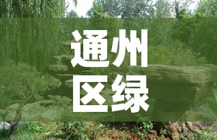 通州区绿化五金价格行情›通州绿植批发