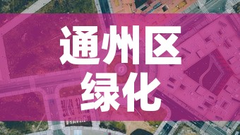 通州区绿化五金价格行情›通州绿植批发
