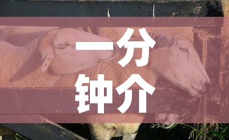 一分钟介绍使用“微信牛牛群斗牛群”轻松获取房卡全渠道