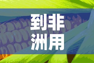 到非洲用粮食换黄金价格 → 非洲买黄金