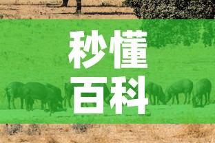 秒懂百科“微信房卡斗牛牛有挂吗	”详细房卡教程