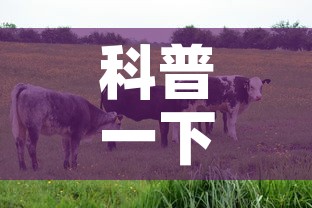 科普一下“微信牛牛群房卡怎么弄”房卡使用教程