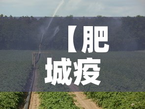 【肥城疫情最新增加了几例·肥城新冠肺炎最新消息】
