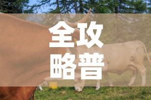 全攻略普及“微信牛牛群房间卡如何购买”详细房卡教程