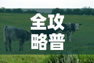 全攻略普及“微信牛牛群房间卡如何购买”详细房卡教程
