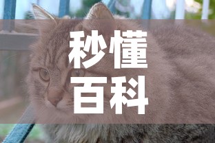 秒懂百科“斗牛房卡怎么购买”购买房卡介绍