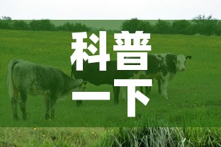 科普一下“微信牛牛群房卡哪里买	”房卡链接获取