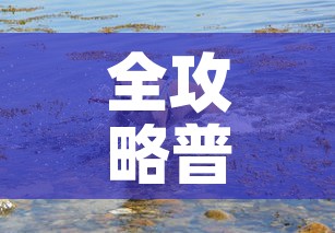 全攻略普及“斗牛房卡牛牛房卡”详细房卡教程