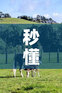 秒懂教程“微信牛牛群斗牛群”房卡怎么购买