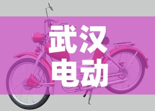 武汉电动车:武汉电动车牌照查询 武汉电动车:武汉电动车牌照查询