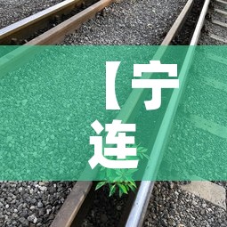 【宁连路高架限行·宁连路高架限行时间】 【宁连路高架限行·宁连路高架限行时间】