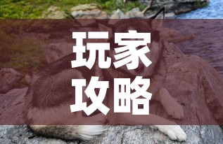 玩家攻略“购买斗牛房卡联系方式”房卡获取方式