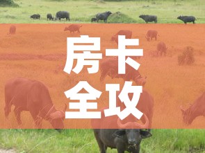 房卡全攻略“微信牛牛群斗牛群”详细房卡教程