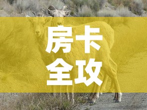 房卡全攻略“微信牛牛群斗牛群	”详细房卡教程