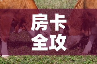 房卡全攻略“微信牛牛群斗牛群”详细房卡教程