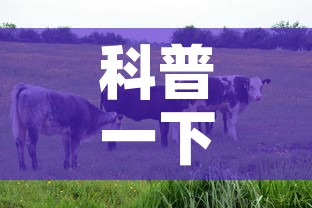 科普一下“微信牛牛群房卡怎么弄”链接房卡在哪里获取