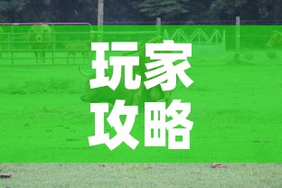 玩家攻略“微信牛牛群斗牛群”房卡获取方式