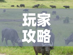 玩家攻略“微信牛牛群斗牛群	”房卡获取方式