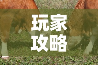 玩家攻略“微信牛牛群斗牛群”房卡获取方式