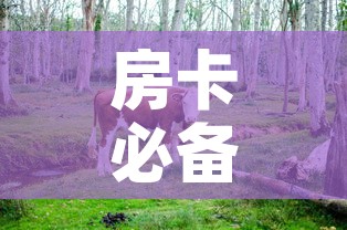 房卡必备教程“微信牛牛群斗牛群”房卡链接获取