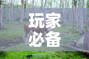 玩家必备教程“微信牛牛群斗牛群”链接房卡在哪里获取